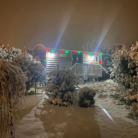 The Little John Petite Cosy Log Cabin - Sleeps 2, Great For Romantic Breaks, Couples, Single Guests, Near Sherwood Forest At Fairview Farm, Nottingham Set In 88 Acres Blidworth 外观 照片
